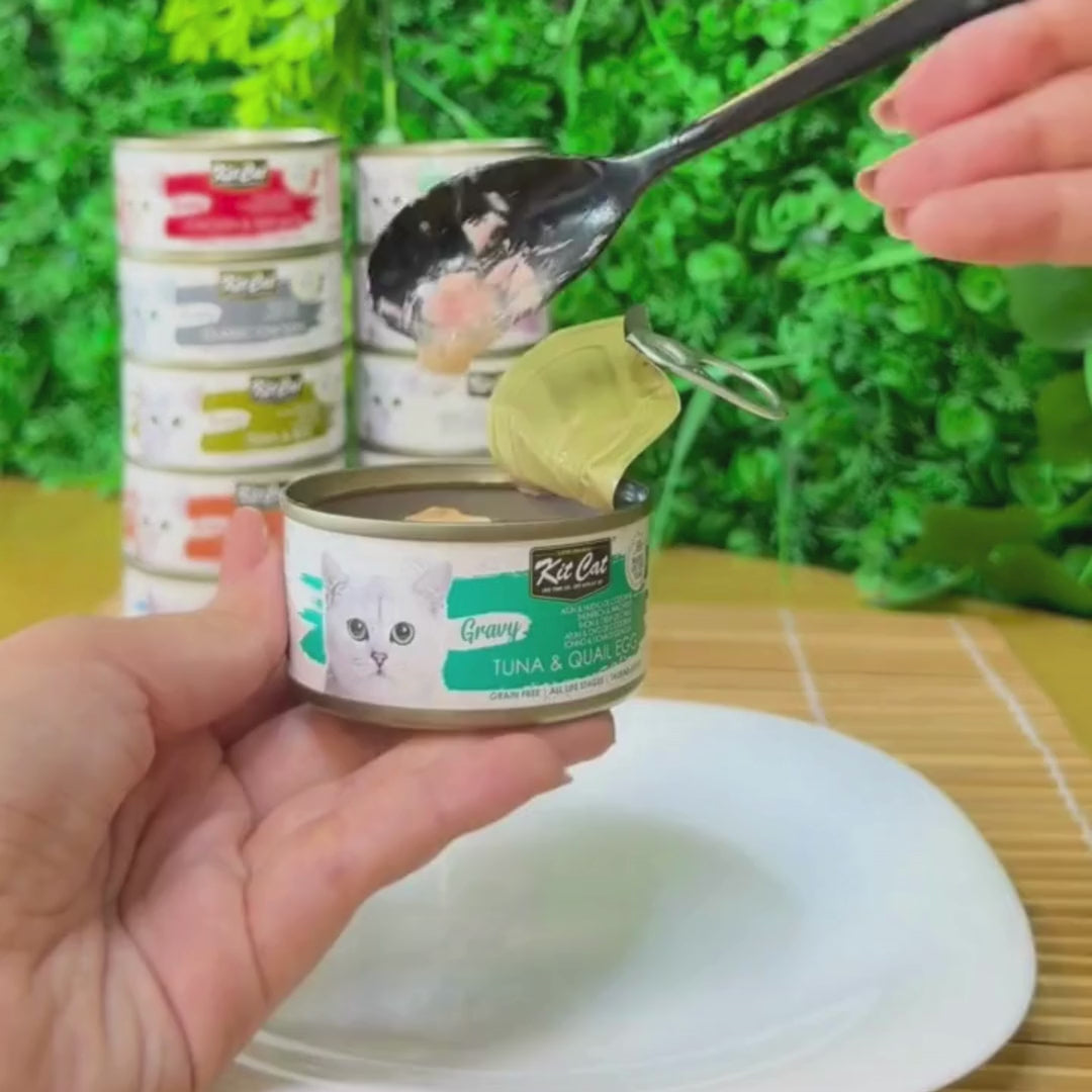 Kit Cat Gravy - Tuna and Quail Egg 70g