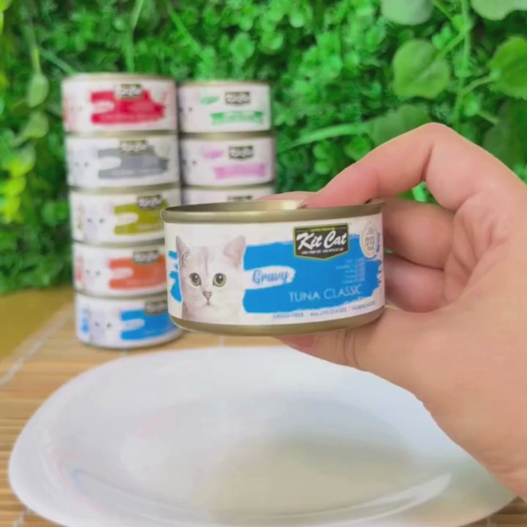 Kit Cat Gravy - Thon Classique 70g