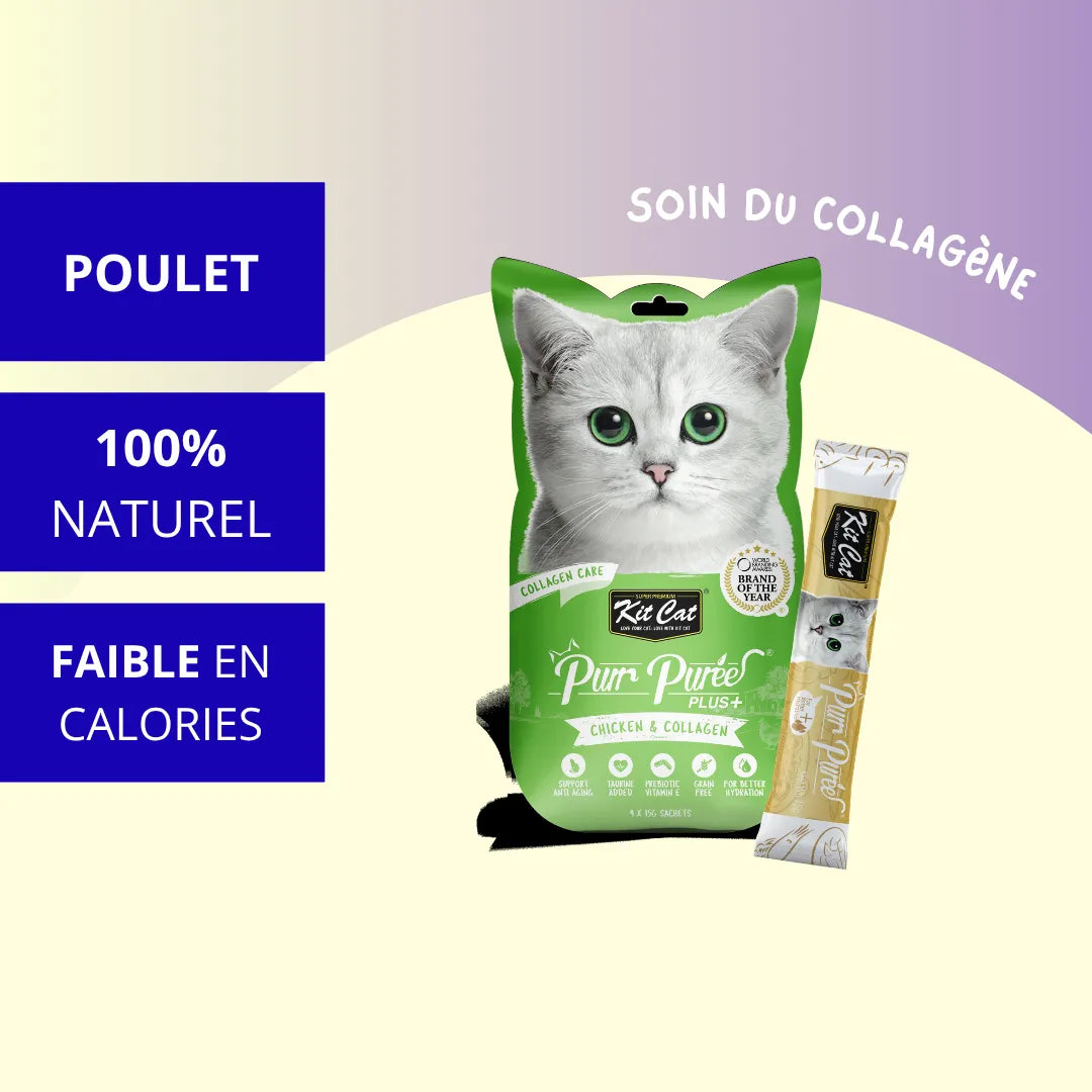 Kit Cat PurrPureePLUS - Poulet (Soin du collagène) 60g