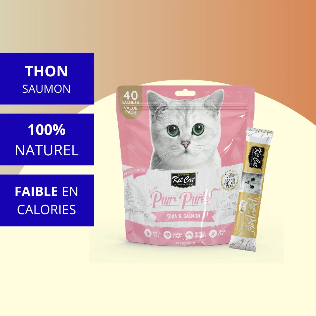 Kit Cat PurrPuree Value Pack - Thon et Saumon 40x15g