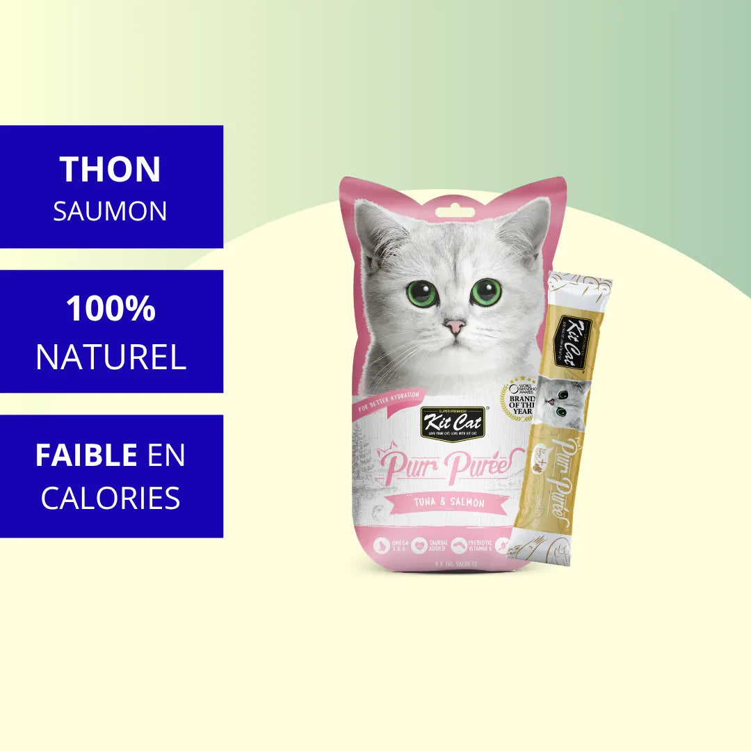 Kit Cat PurrPuree - Thon et Saumon 60g