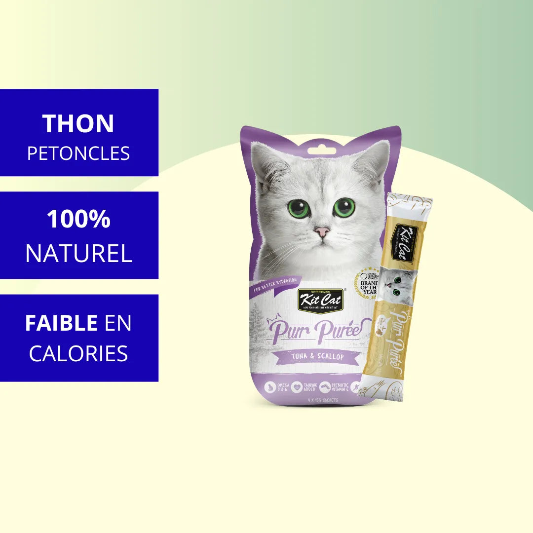 Kit Cat PurrPuree - Thon et Pétoncles 60g