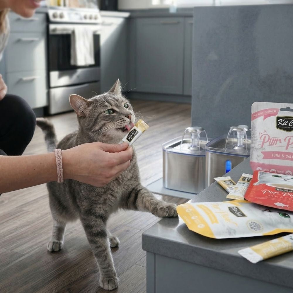 purr purée kit cat