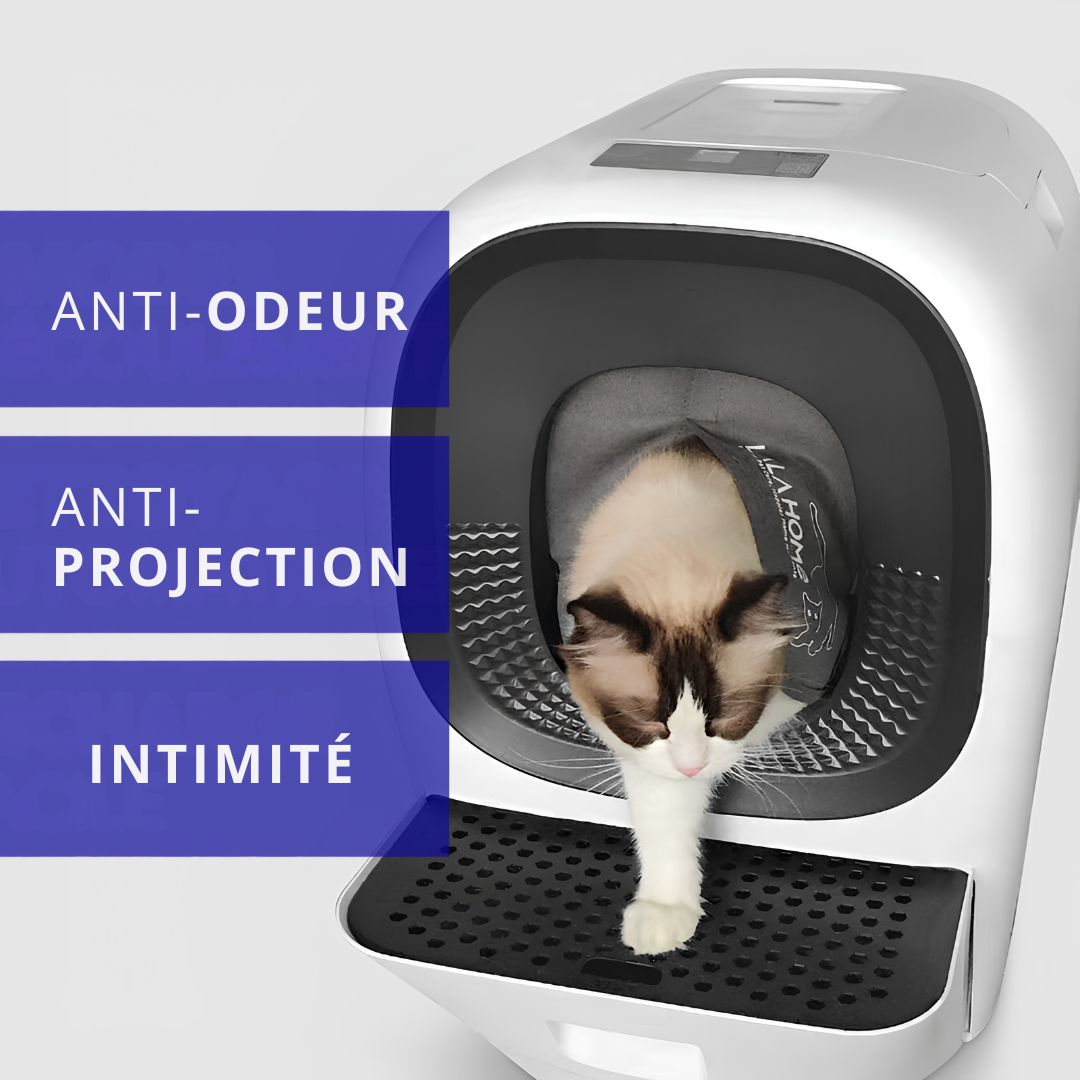 Rideau de porte anti-poussière LALAHOME